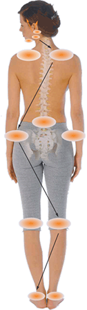 Abbildung von Dr. Erich Wühr, www.kraniofaziale-orthopaedie.de